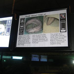 JyllandsAkvariet - Signage example