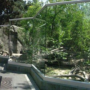 North American River Otter Exhibit