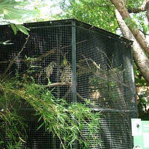 Plain Colored Amazon Exhibit