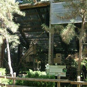 Thick Billed Parrot/Greater Roadrunner Exhibit