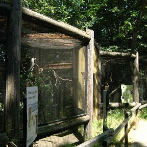 Burrowing Owl and Yellow Billed Magpie Exhibits