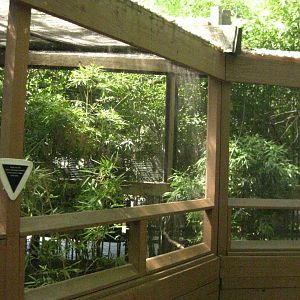 Himalayan Monal/Azure Winged Magpie Exhibit