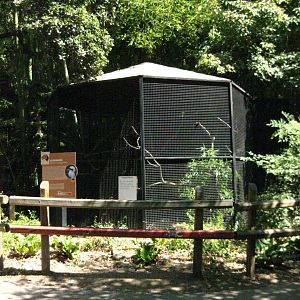 Kookaburra Exhibit