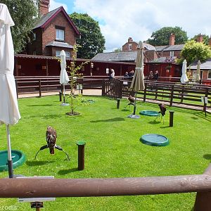 View of Mews and Bird Area