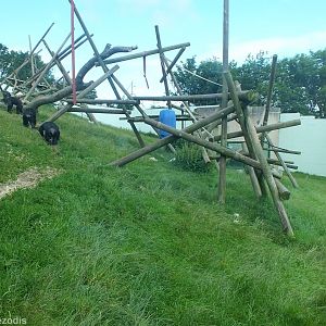 Chimp Outdoor Enclosure