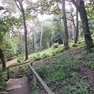 Hillside Woodland Area (with Squirrel Enclosures Visible Below)