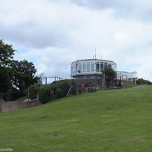 View of the Penguin Cafe and Penguin Enclosure Below