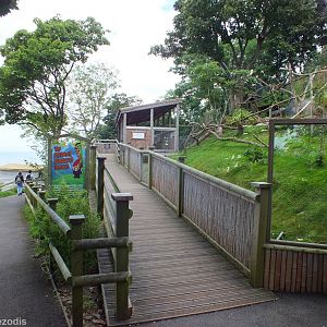 Himalayan Terraces Exhibit