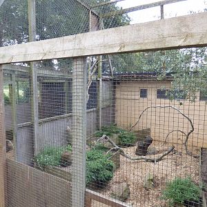 Meerkat Enclosure