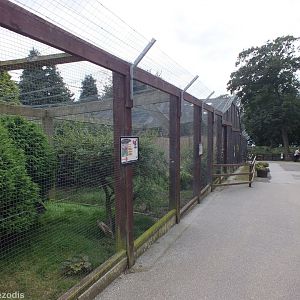 Pheasant Aviaries