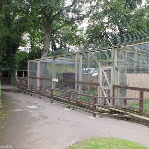 Coati Enclosure (and edge of wader walkthrough)