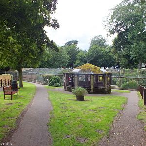 View of the Wader Walkthrough Aviary with Cockatiel Aviary in Front