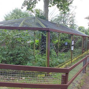 Capuchin Enclosure