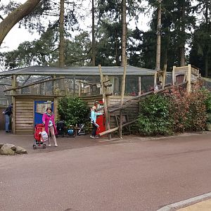 Parakeet-walk-through