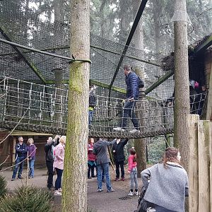 Parakeet-walk-through