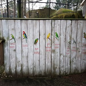 Feeding-automate and signs