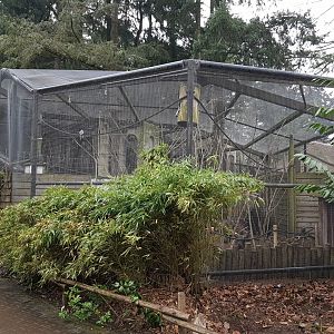 Parakeet-walk-through