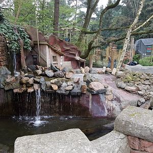 Otter-enclosure