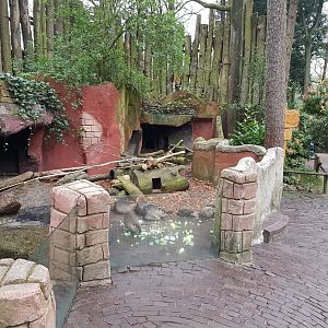 Coypu-enclosure