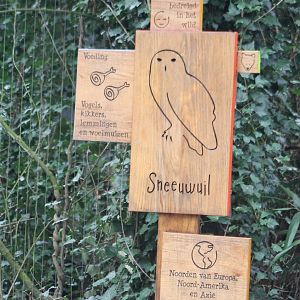 Sign Snowy owl