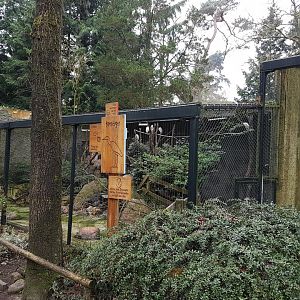 Sign and aviary Cattle egret