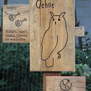 Sign Euroean eagle owl