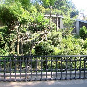 Red Panda enclosure - July/2017