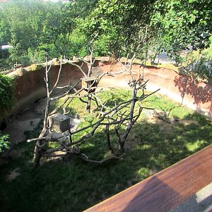 North American Porcupine enclosure - July/2017