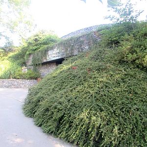 Indonesian Jungle Pavilion entrance - July/2017