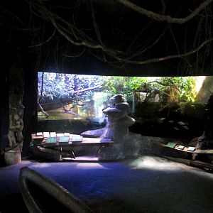 Aquariums in Indonesian Jungle Pavilion - July/2017