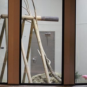 Boa & Tortoise Enclosure