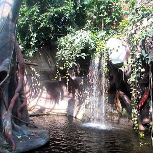 Waterfall in the Indonesian Jungle - July/2017