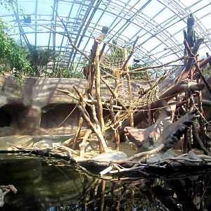 Orangutan Island/Indonesian Jungle Pavilion - July/2017
