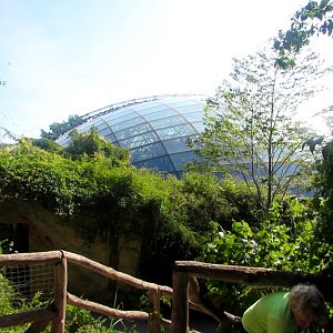 Roof of the Indonesian Jungle Pavilion - July/2017