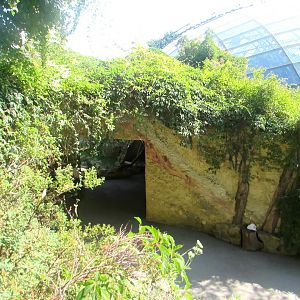 Stone tunnel and roof Pavilion - July/2017