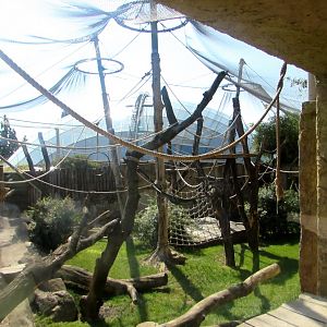 Orangutan outdoor enclosure and roof of the Indonesin Jungle Pavilion - July/2017