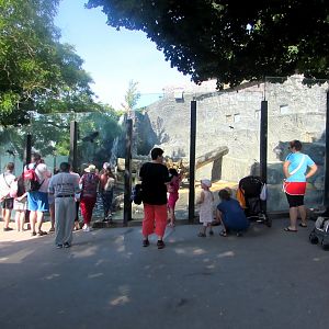 Polar Bear enclosure (1) - July/2017