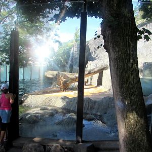 Polar Bear enclosure (2) - July/2017