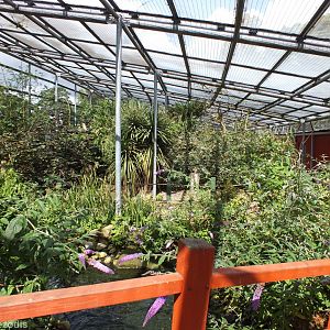 View in Large Walkthrough Aviary