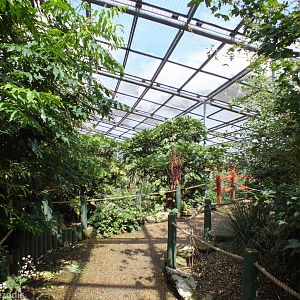 View in Large Walkthrough Aviary