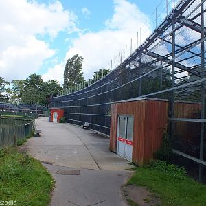 Large Walkthrough Aviary from Outside