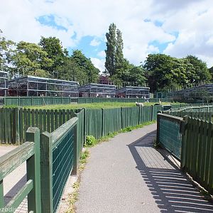 View Across Domestics Paddock to Aviaries
