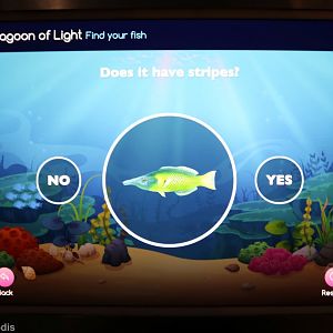 Signage for Large Mixed Aquarium - Interactive ID Key