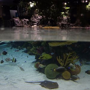 Lagoon Of Light Above and Below Water