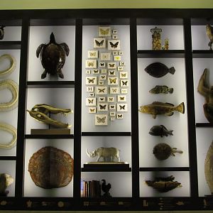 Entrance Hall Wall Panel 1