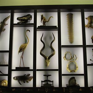 Entrance Hall Wall Panel 2