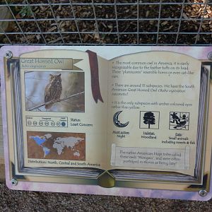 Signage in The Terry Prachett Owl Parliment