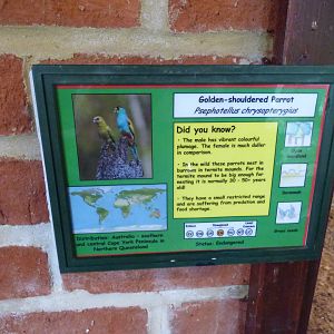 Golden-shouldered Parrot signage