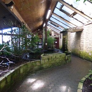 View of Walk-through enclosure in the Temperate House