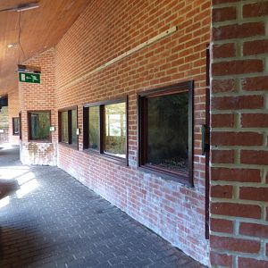 View of Temperate House